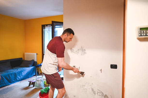 Professional Mold Removal in Gibsonton, FL